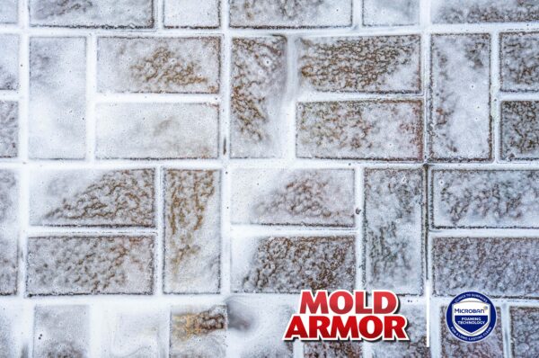 Mold Armor FG505 Deck and Fence Wash, Liquid, Yellow, 1 g